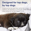 Casper Dog Bed, Plush Memory Foam - BESTMASCOTA.COM
