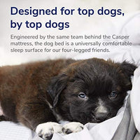 Casper Dog Bed, Plush Memory Foam - BESTMASCOTA.COM