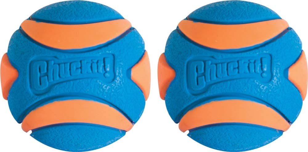 CHUCKIT Pelota ultra chirriadora para perros pequeños, pequeña - BESTMASCOTA.COM