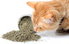 Cat Kush Organic Catnip, Safe Premium Blend Perfect for Cats, Instilled with Maximized Potency Your Kitty is Sure to Go Crazy for - BESTMASCOTA.COM