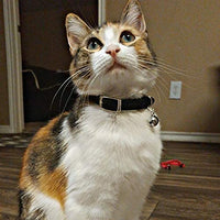 KOOLTAIL Heart Bling Cat Collar with Safety Belt and Bell 8-11 Inches - BESTMASCOTA.COM