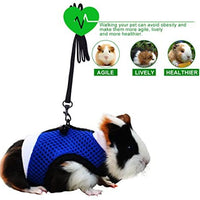 PERSUPER - Arnés de malla suave para mascotas pequeño con campana segura, sin tiro, cómodo chaleco acolchado de nailon duradero y correa ajustable para todas las estaciones para ratas, Iguana, hámster, dragón barbudo - BESTMASCOTA.COM