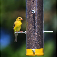 Semillas para pájaros, de la marca Wagner's Nyjer - BESTMASCOTA.COM