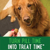 GREENIES Pill Pockets Natural Dog Treats, Capsule Size, Peanut Butter Flavor - BESTMASCOTA.COM