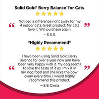 Solid Gold Berry Balance Supplement Powder for Urinary Tract Health with Cranberries & Blueberries for Dogs & Cats - BESTMASCOTA.COM