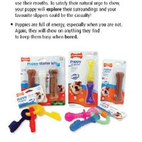 Nylabone Bacon Flavored Pacifier Puppy Chew Toy - BESTMASCOTA.COM