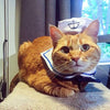 Kailian Pet Sailor Costume, Navy Hat Tie Set Costume for Cat Dog Puppy Halloween Christmas Cosplay (2pcs) - BESTMASCOTA.COM