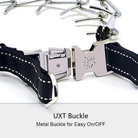 Wellbro collar de entrenamiento con dientes de metal para perros grandes y medianos (Pit Bull, pastor alemán), con hebilla a presión de liberación rápida y puntas de hule, plateado y regulable - BESTMASCOTA.COM