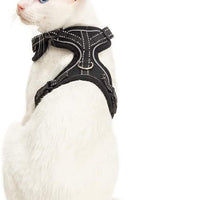 EXPAWLORER Arnés para gato a prueba de escape, ajustable, ligero, cómodo, transpirable, chaleco de malla con correa reflectante negra para gatos y cachorros adultos - BESTMASCOTA.COM