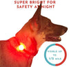 Hunter Paisley Luz LED para Collar de Perro Caminando por la Noche.Paquete de 2 Pack Impermeable Perro Luz LED Super Brillante para Perro Paseo Nocturno Adjuntar al Collar, Correa o Arnés, Baterías Extras - BESTMASCOTA.COM