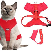 Arnés para gato acolchado y resistente al agua Dexil - BESTMASCOTA.COM