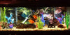 Otterly Pets Plantas de plástico para decoración de peceras grandes artificiales, decoración de acuario y accesorios, paquete de 8 - BESTMASCOTA.COM