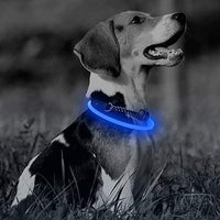 Collar de perro recargable por USB, LED, brilla en la oscuridad, collar para mascotas, resistente al agua, cortable, de TPU, para perros pequeños, medianos y grandes - BESTMASCOTA.COM