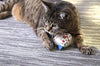 Petlinks System Sweet Tweet Cat Toy - BESTMASCOTA.COM