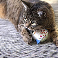 Petlinks System Sweet Tweet Cat Toy - BESTMASCOTA.COM
