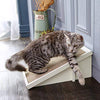 Forma Basics Eco Friendly Cat Scratcher inclinación, Cat Scratching Pad con Orgánica catnip (fabricada de sostenible no tóxico ZBoard paperboard) - BESTMASCOTA.COM