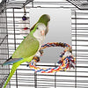 Colorday - Espejo de acero inoxidable para pájaros con percha de cuerda, columpio para pájaros, perca cómoda para canarios grises, amazones, periquitos, cacatúas, conuras, pájaros pinzones. - BESTMASCOTA.COM