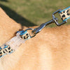 PAWZ Road Leopard Pet Leash Collar Arnés Set - BESTMASCOTA.COM