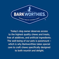 Barkworthies Odor-Free Bully Sticks - Healthy Dog Chews - Protein-Packed, Highly Digestible, All-Natural Rawhide Alternative Dog Treats - Promotes Dental Health - BESTMASCOTA.COM