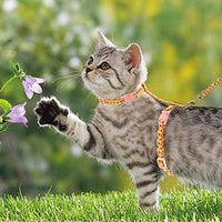 SCIROKKO - Arnés para gato con correa, lindo tejido con patrón de girasol, a prueba de escapes y ajustable para caminar - BESTMASCOTA.COM