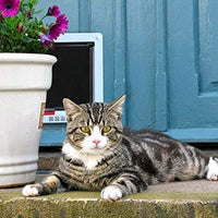 ShineBlue 4-Way Lockable Cat Flap Door - BESTMASCOTA.COM