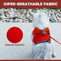 Arnés ajustable para mascotas, gato, gato, gato, gatito, arnés para caminar, chaleco de malla suave con tiras reflectantes, arnés para perros y gatos pequeños - BESTMASCOTA.COM