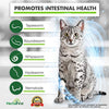 HerbalVet 10 Tablets Cat Intestinal Cleanse | Cat Dewormer Alternative | Cleansing Tablets for Cats, Promotes Intestinal Health | 4 Tablets, Works for Kittens | Helpful E-Book Included - BESTMASCOTA.COM