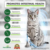 HerbalVet 10 Tablets Cat Intestinal Cleanse | Cat Dewormer Alternative | Cleansing Tablets for Cats, Promotes Intestinal Health | 4 Tablets, Works for Kittens | Helpful E-Book Included - BESTMASCOTA.COM