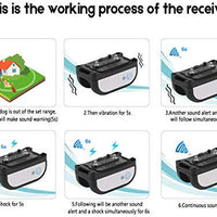 WIEZ – Collar de entrenamiento inalámbrico para perro eléctrico y perro 2 en 1, doble antena, control de alcance ajustable 100 – 990 pies, resistencia de advertencia ajustable, recargable, inofensivo para todos los perros, para uso en exteriores. - BESTMASCOTA.COM