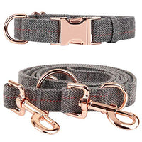 KUYOUGOU - Collar y correa para perro (6.6 ft), diseño elegante con juego de oro rosa, 3 longitudes ajustables, para perros pequeños a grandes - BESTMASCOTA.COM