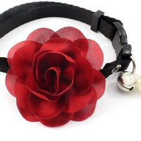 PetFavorites - Collar de corbata para mascotas, gato con colgante de campana, para mascotas, gatos - BESTMASCOTA.COM