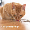 Pet Craft Supply Premium Potent Catnip - BESTMASCOTA.COM