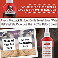 Spray antimasticable para adiestramiento de perros: no masticar amargo y disuasorio de mascotas para perros y gatos – Corrección de comportamiento para dejar de masticar y lamer – seguro para muebles, patas y vendajes – 8 oz - BESTMASCOTA.COM