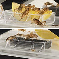 Exo Terra - Bolígrafo de cricket - BESTMASCOTA.COM