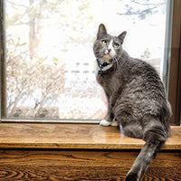 En Clover – Fresco Resumen Daily las enzimas digestivas & prebióticos para gatos - BESTMASCOTA.COM