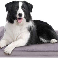 JoicyCo - Cama grande para perros, para perros grandes, camas de espuma antideslizante, con funda lavable - BESTMASCOTA.COM