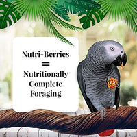 LAFEBER'S Gourmet Nutri-Berries - Paquete de muestras de alimentos variados, hechos con ingredientes no OMG y de grado humano, para loros, 10 onzas cada uno - BESTMASCOTA.COM