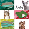 Kitty City XL - Alfombra de sisal tejida para rascar y arañar - BESTMASCOTA.COM