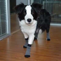 Calcetines antideslizantes para perros de Expawlorer, control de tracción para uso interior, protección de patas - BESTMASCOTA.COM