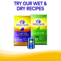 Wellness Natural Wellbars Crunchy Dog Treats - BESTMASCOTA.COM