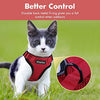 Eagloo Arnés de gato a prueba de escape, arnés de malla suave ajustable para gato con correa reflectante de metal para caminar chaqueta cómoda para mascotas Gatito cachorro conejo - BESTMASCOTA.COM