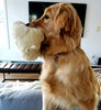 SmartPetLove Snuggle Puppy Behavioral Aid Toy - BESTMASCOTA.COM