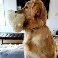 SmartPetLove Snuggle Puppy Behavioral Aid Toy - BESTMASCOTA.COM