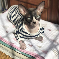 DENTRUN - Camiseta sin pelo para gatos, con diseño de rayas, ideal para todas las estaciones, suave y agradable al tacto - BESTMASCOTA.COM