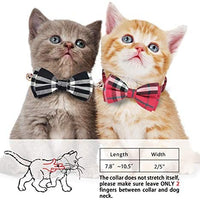 KUDES - Juego de 2 collares para gato con pajarita y campana para gatitos y algunos cachorros, ajustable de 7.8 a 10.5 pulgadas - BESTMASCOTA.COM