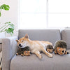 Outward Hound Hedgehogz Squeaky Dog Toy – Interactive Cuddly Soft Toy for Dogs - Tough & Durable Plush Fluffy Toy for Awesome Pets - BESTMASCOTA.COM