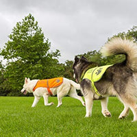 Chaleco reflectante de seguridad para perros, 5 tamaños para adaptarse a perros de 10 libras – 130 libras: alta visibilidad para actividades al aire libre día y noche, mantiene a tu perro visible, seguro de coches y accidentes de caza | Blaze Orange chale - BESTMASCOTA.COM