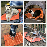 Cheerhunting Cama para perro al aire libre, 43 x 26 pulgadas, impermeable, lavable, tamaño grande, duradera, resistente al agua, portátil y de viaje para mascotas - BESTMASCOTA.COM