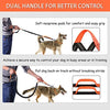 Correa para perro de LANNEY, manos libres, para correr, caminar, correr, entrenar senderismo, correa elástica retráctil para perros medianos a grandes, cinturón de cintura ajustable, costuras reflectantes, doble asa - BESTMASCOTA.COM