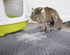 Petlinks Purr-FECT Paws Cat Litter Mat - BESTMASCOTA.COM